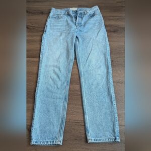 Everlane High Rise Straight Cheeky Jean